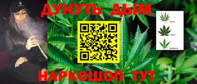 альфа пвп Севастополь