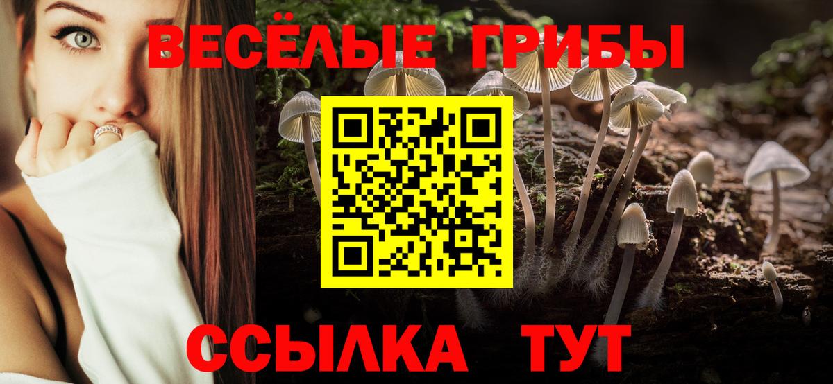 Галлюциногенные грибы мухоморы Новочебоксарск