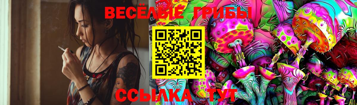 Псилоцибиновые грибы Cubensis  Псилоцибиновые грибы Psilocybine cubensis  Вход с VPN  где купить наркоту  Новочебоксарск 